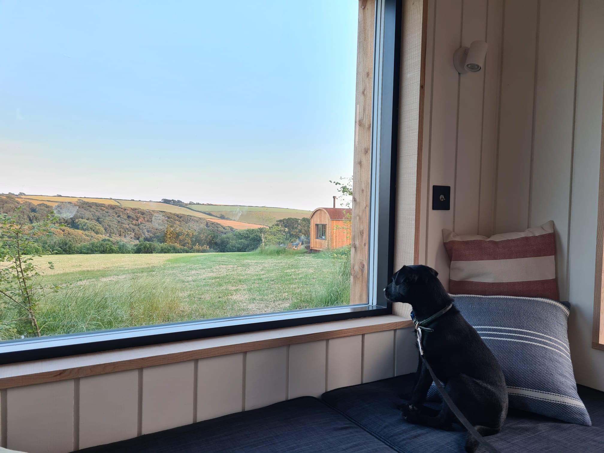 Your dog can stay at Rusty Sheds A luxury holiday rental in south devon.
